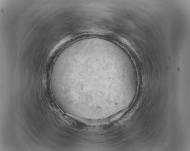 X0000087631307200705241205