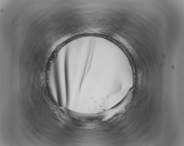 X0000087631308200705241205