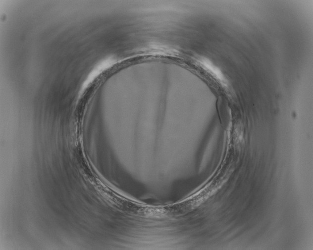 X0000087631310200705241205