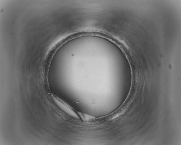 X0000087631311200705241205