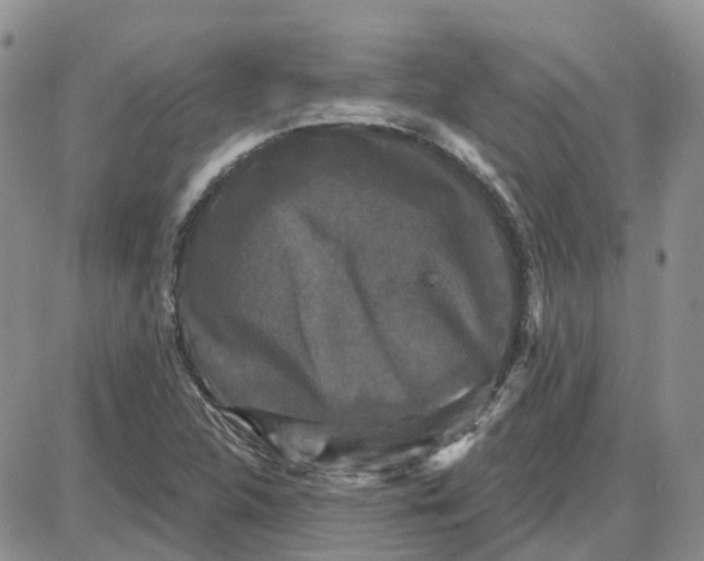 X0000087631312200705241205