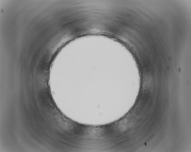 X0000087631314200705241205