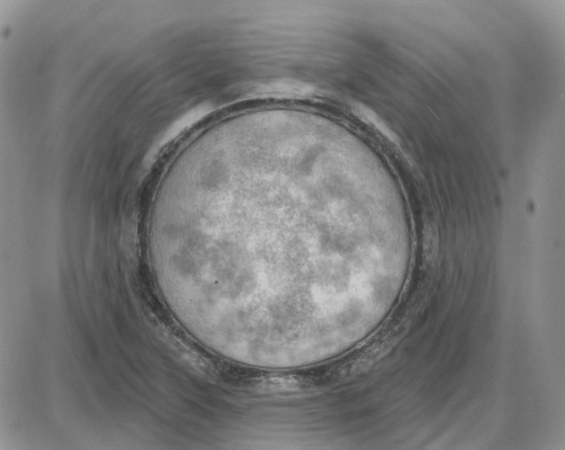 X0000087631315200705241205