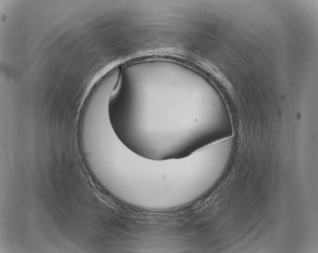 X0000087631316200705241205