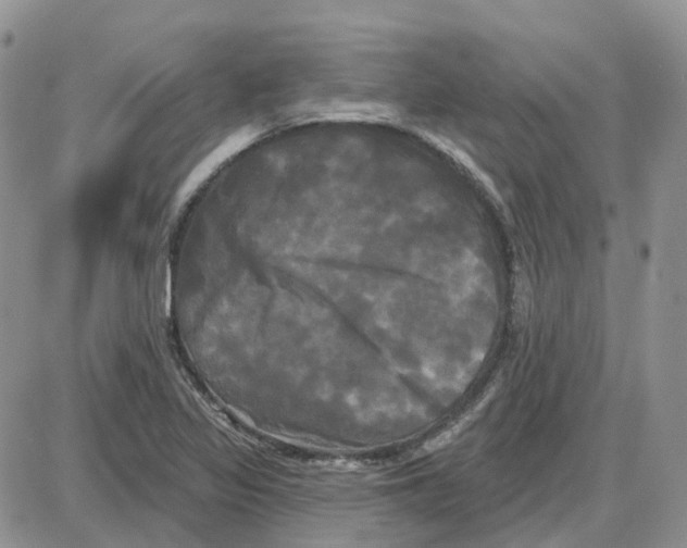 X0000087631317200705241205