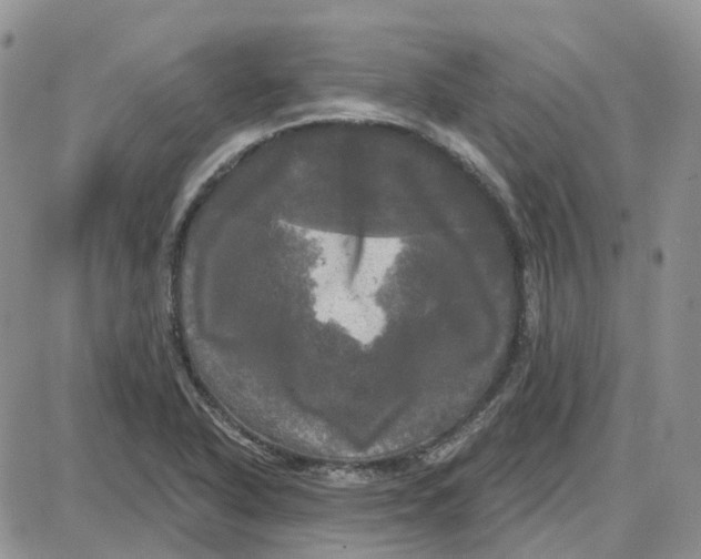 X0000087631318200705241205