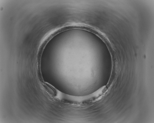 X0000087631319200705241205