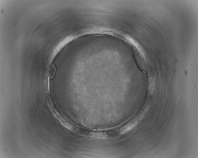 X0000087631320200705241205