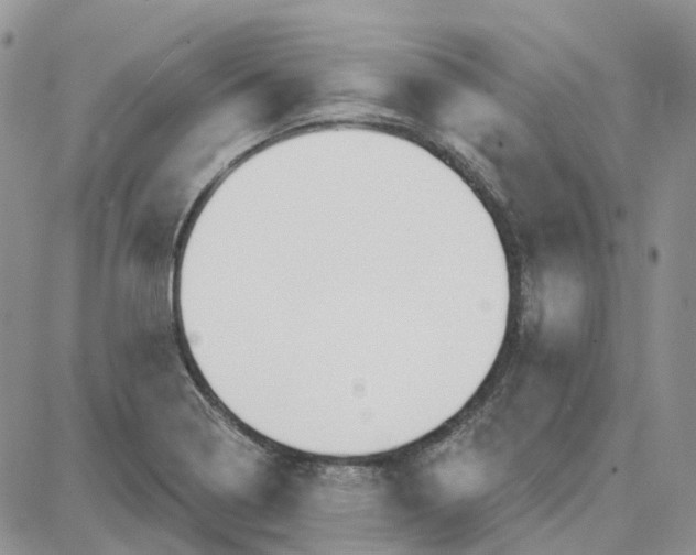 X0000087631322200705241205