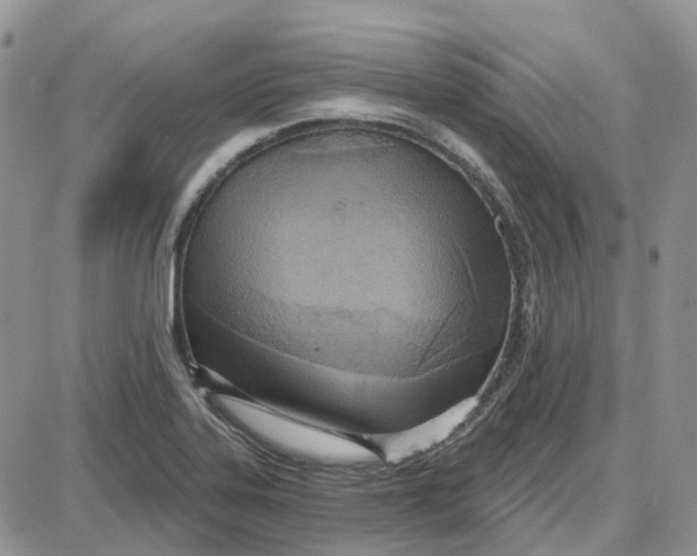 X0000087631323200705241205