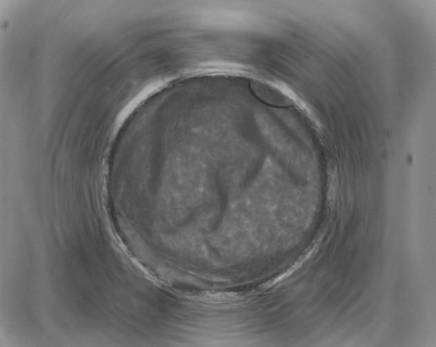 X0000087631325200705241205