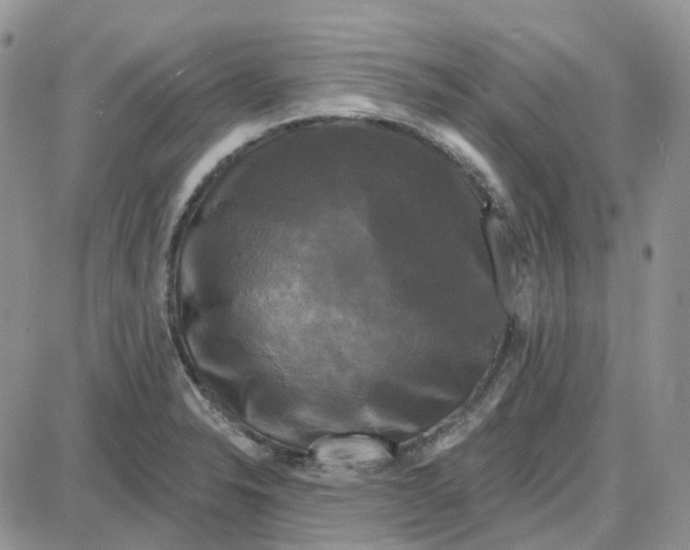 X0000087631326200705241205