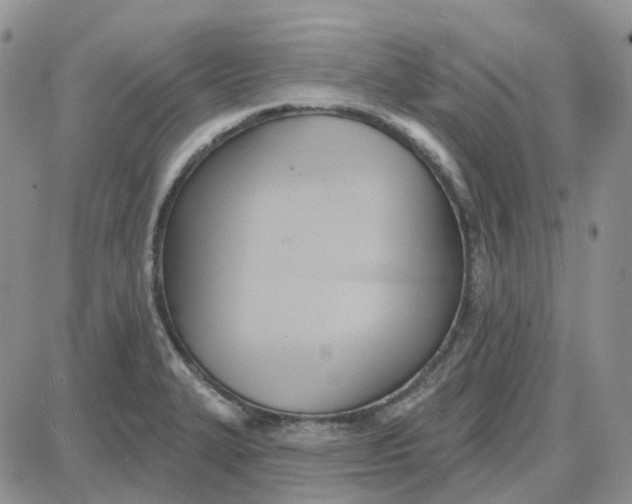 X0000087631327200705241205