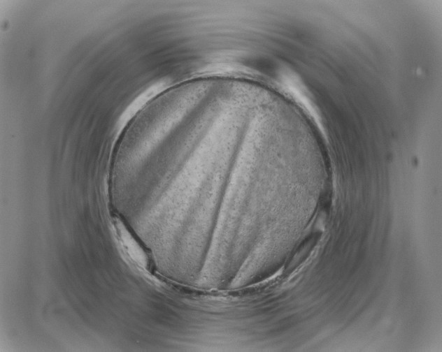 X0000087631330200705241205