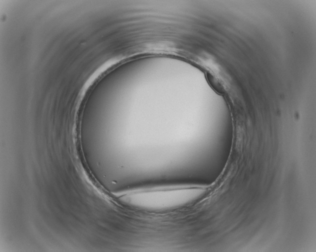 X0000087631331200705241205