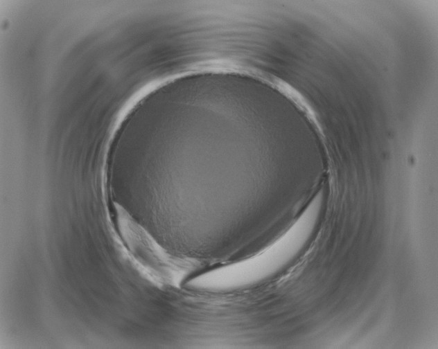 X0000087631334200705241205