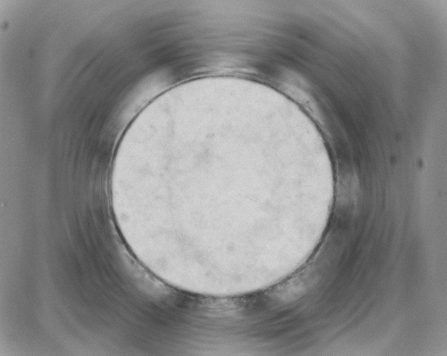 X0000087631338200705241205