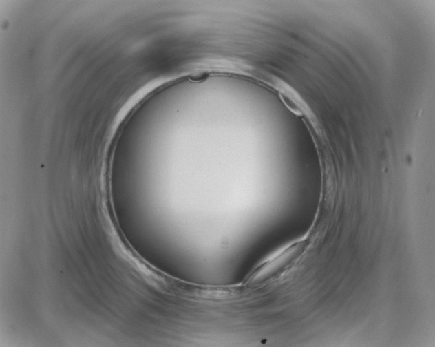 X0000087631339200705241205