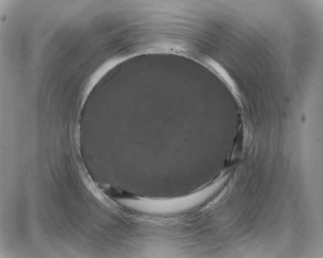 X0000087631340200705241205