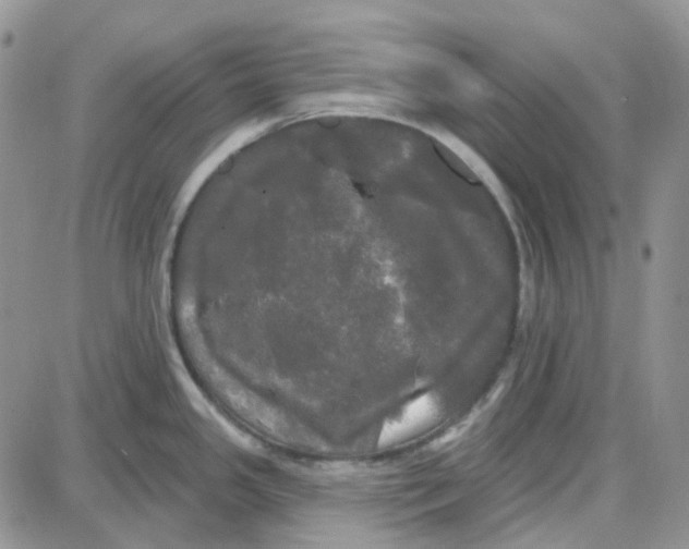 X0000087631341200705241205