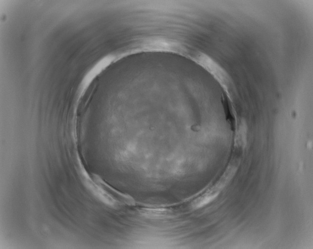 X0000087631342200705241205