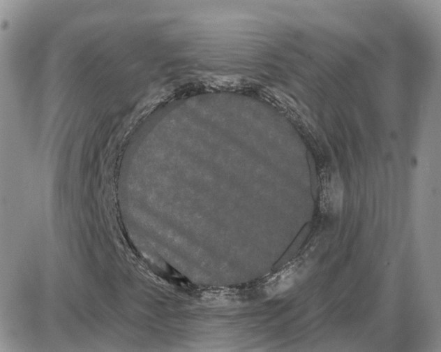 X0000087631345200705241205