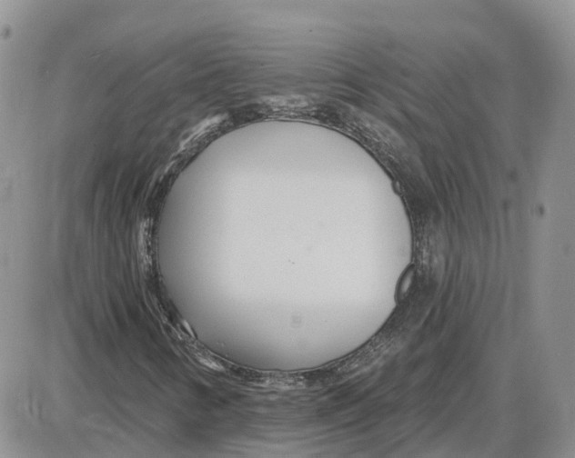 X0000087631346200705241205