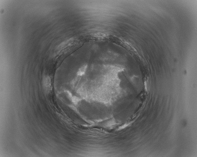 X0000087631347200705241205