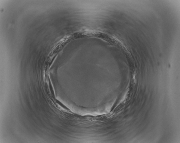 X0000087631348200705241205