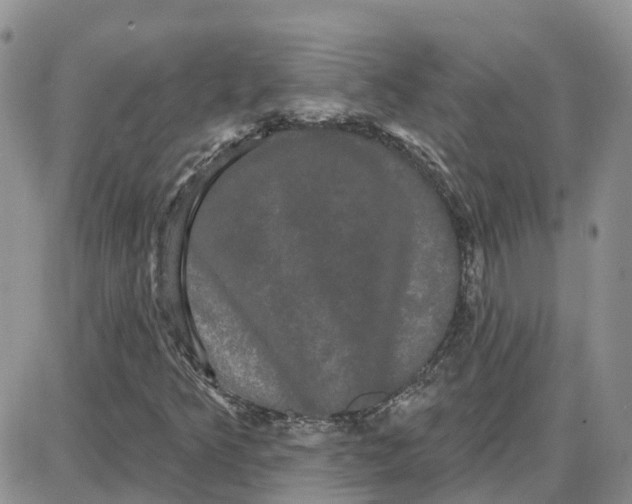 X0000087631349200705241205