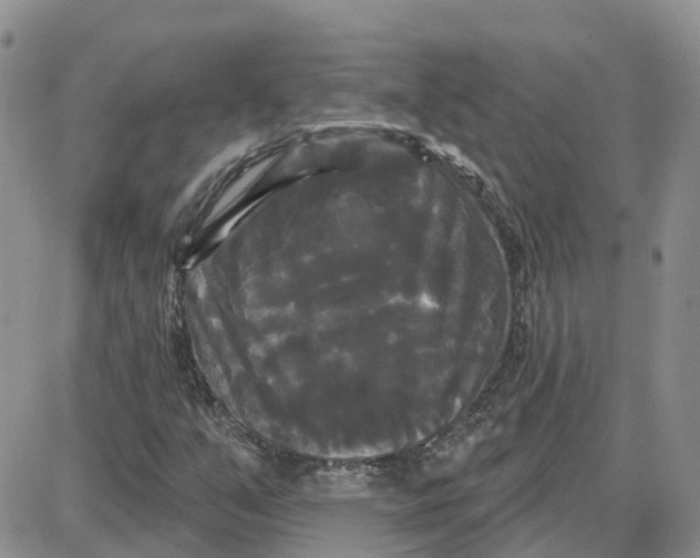 X0000087631351200705241204