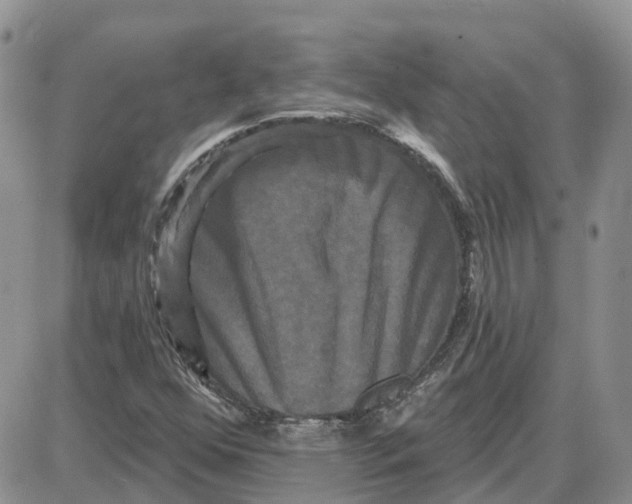 X0000087631352200705241204