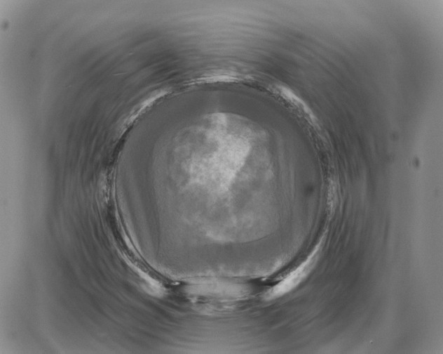 X0000087631353200705241204