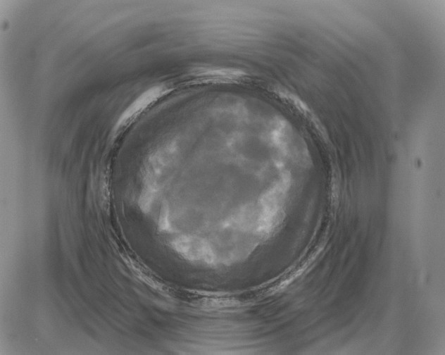 X0000087631354200705241204