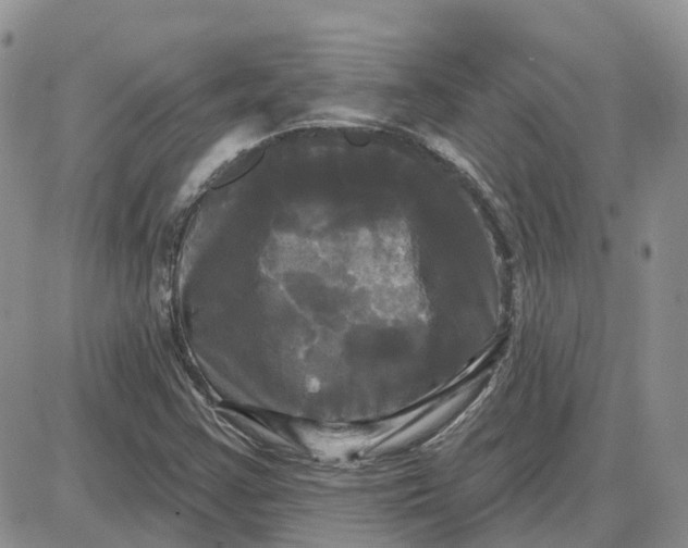 X0000087631355200705241204