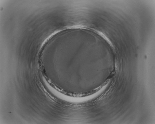 X0000087631356200705241204