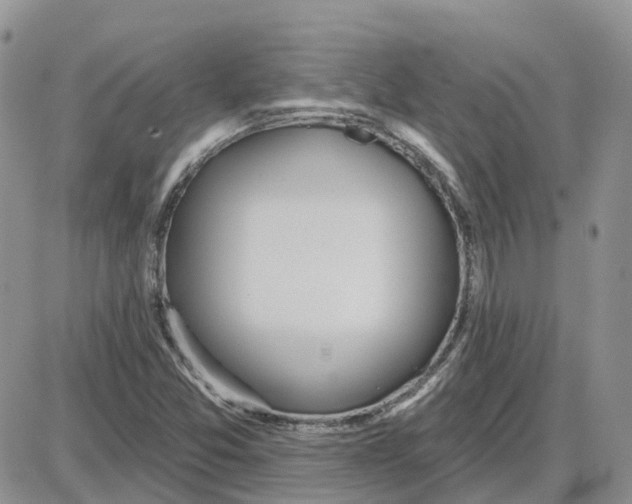 X0000087631357200705241204