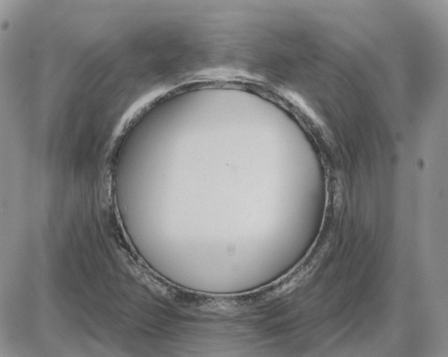 X0000087631358200705241204