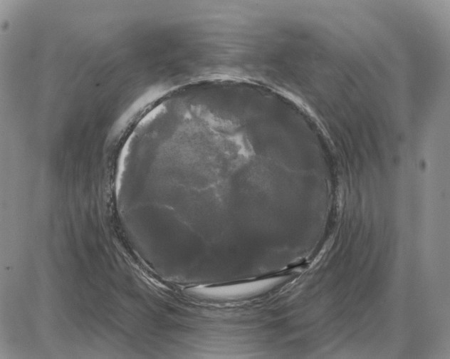 X0000087631359200705241204