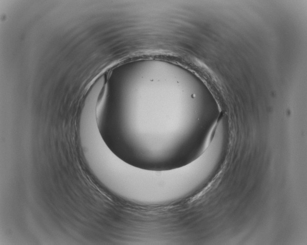 X0000087631361200705241204