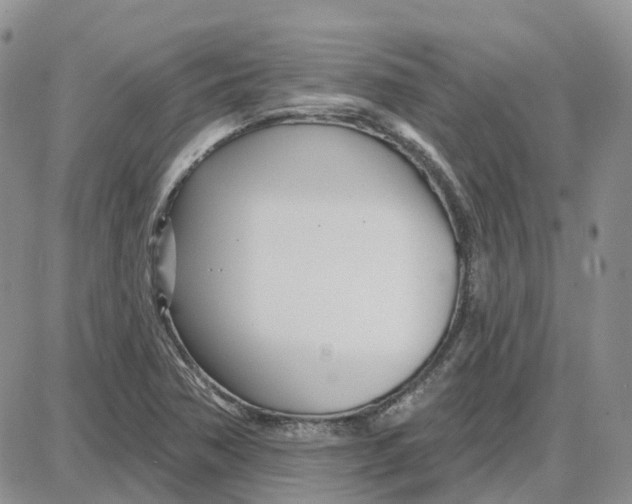 X0000087631362200705241204