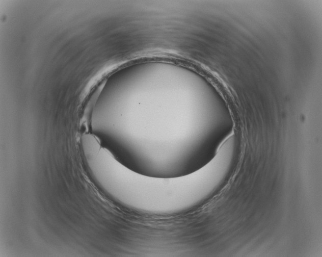 X0000087631363200705241204