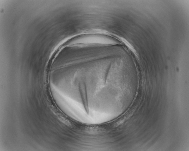 X0000087631364200705241204