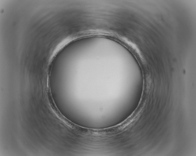 X0000087631365200705241204