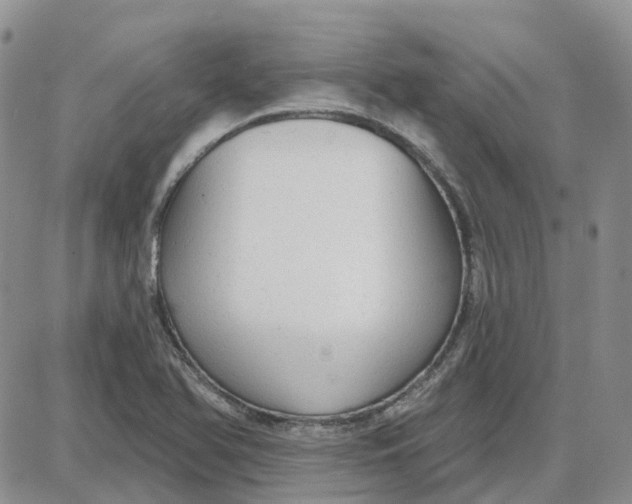 X0000087631366200705241204