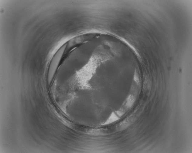 X0000087631367200705241204