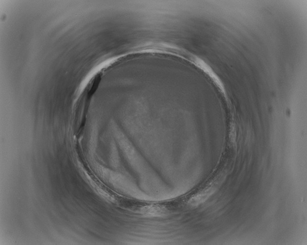 X0000087631368200705241204