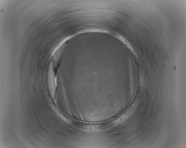 X0000087631369200705241204