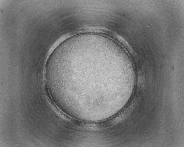 X0000087631370200705241204