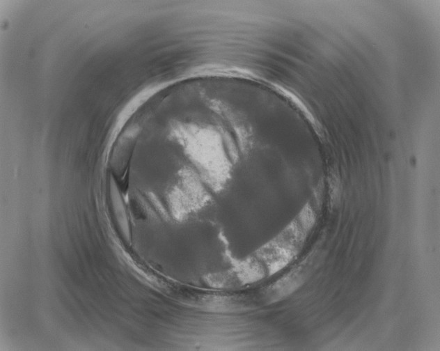 X0000087631371200705241204